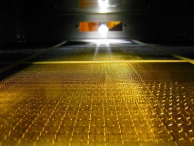 20468_240230591687_120316_n